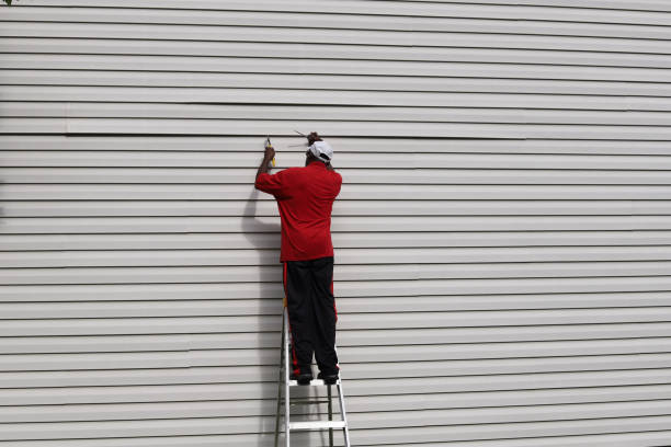 Best Custom Trim and Detailing for Siding  in Newport, DE